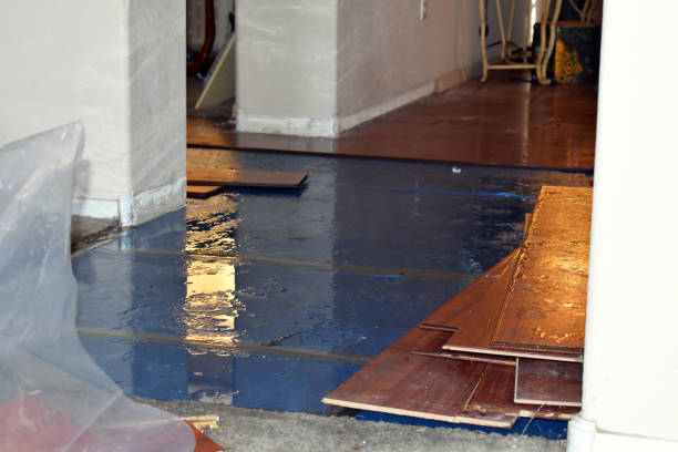 Professional Sewage Cleanup technician working in Stockdale, TX